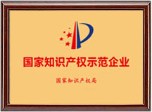 國家知識產(chǎn)權示范企業(yè)